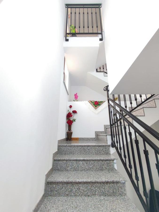 Vila Casa Hatere Moisei Exteriér fotografie